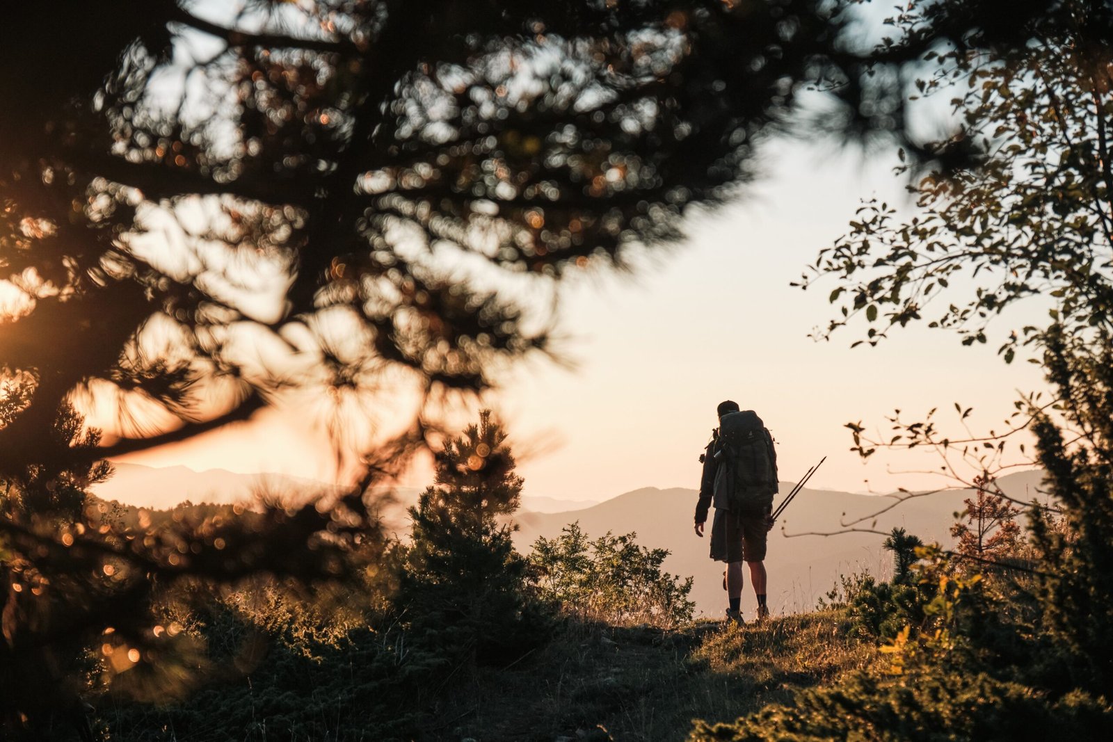 Camino de Santiago